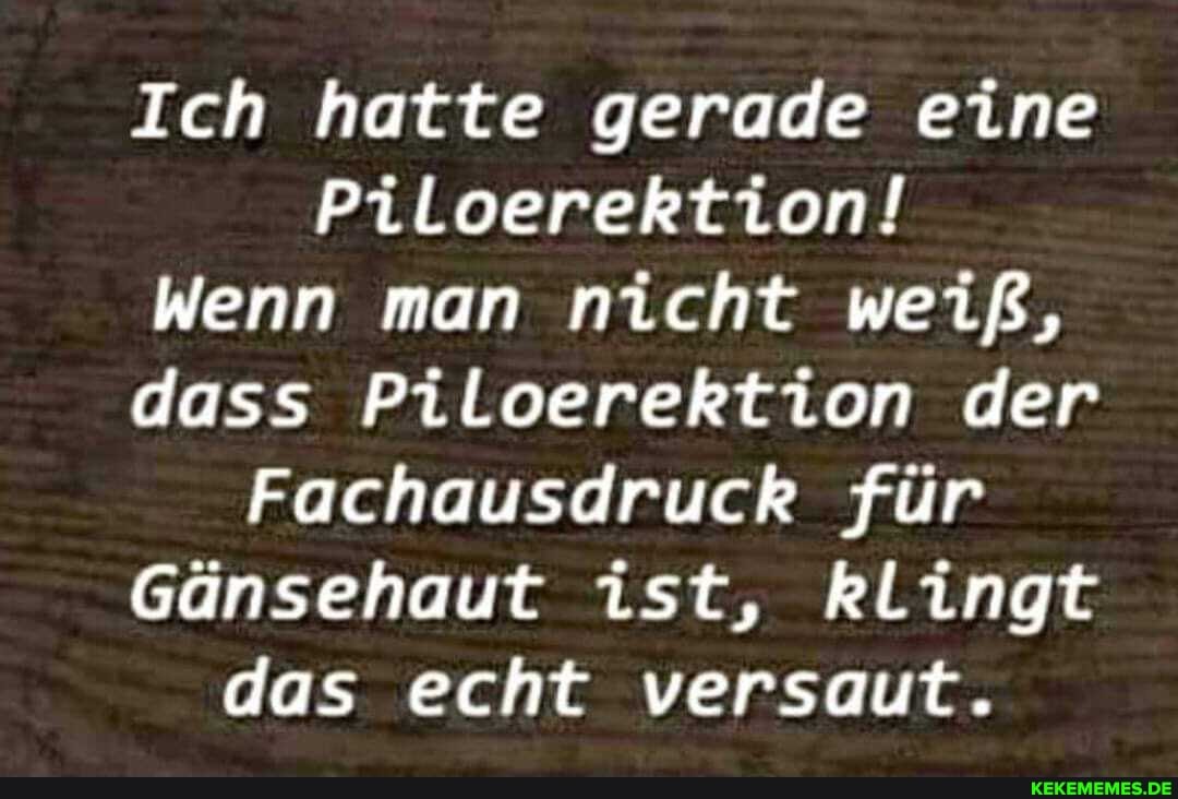 Ich hatte gerade eine
Piloerektion!
Wenn man nicht weiß, dass Piloerektion der
Fachausdruck für
Gänsehaut ist, klingt das echt versaut.