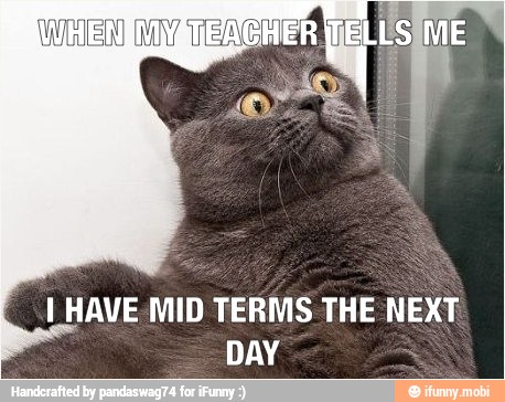 I HAVE MID TERMS THE NEXT