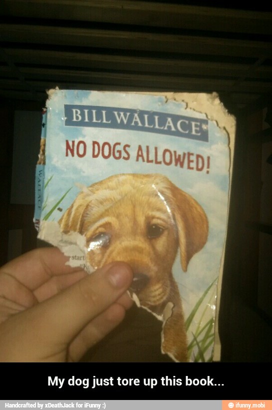 My dog just tore up this book... - My dog just tore up this book...
