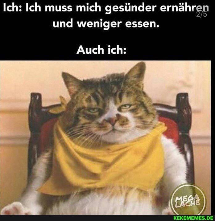 Ich: Ich muss mich gesünder ernähren und weniger essen.
Auch ich: