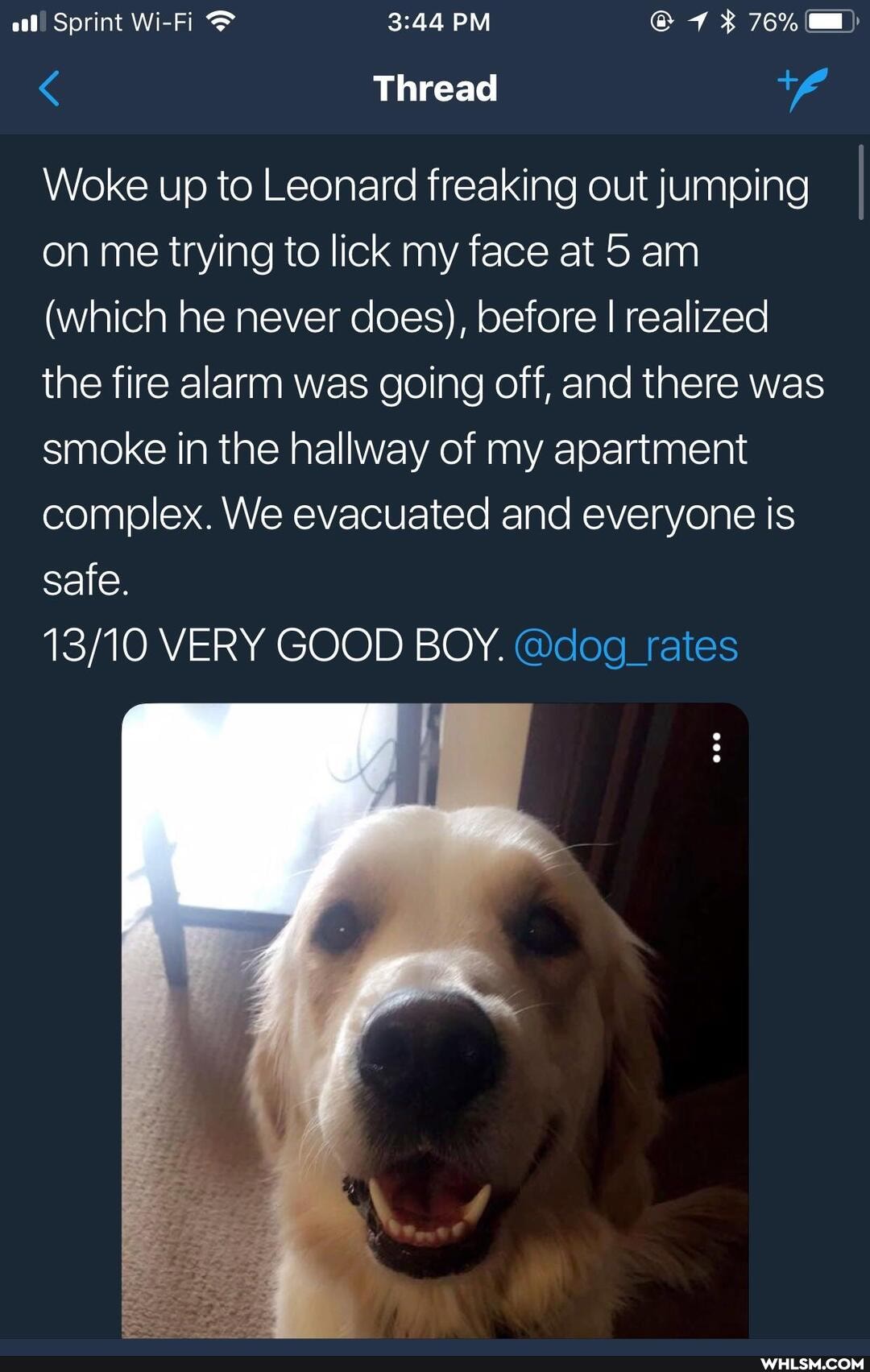 al! Sprint Wi-Fi PM 76%
Thread
Woke up to Leonard freaking out jumping I on me trying to lick my face at 5 am
(which he never does), before I realized the fire alarm was going off, and there was smoke in the hallway of my apartment complex. We evacuated and everyone is safe.
VERY GOOD BOY. @dog_rates