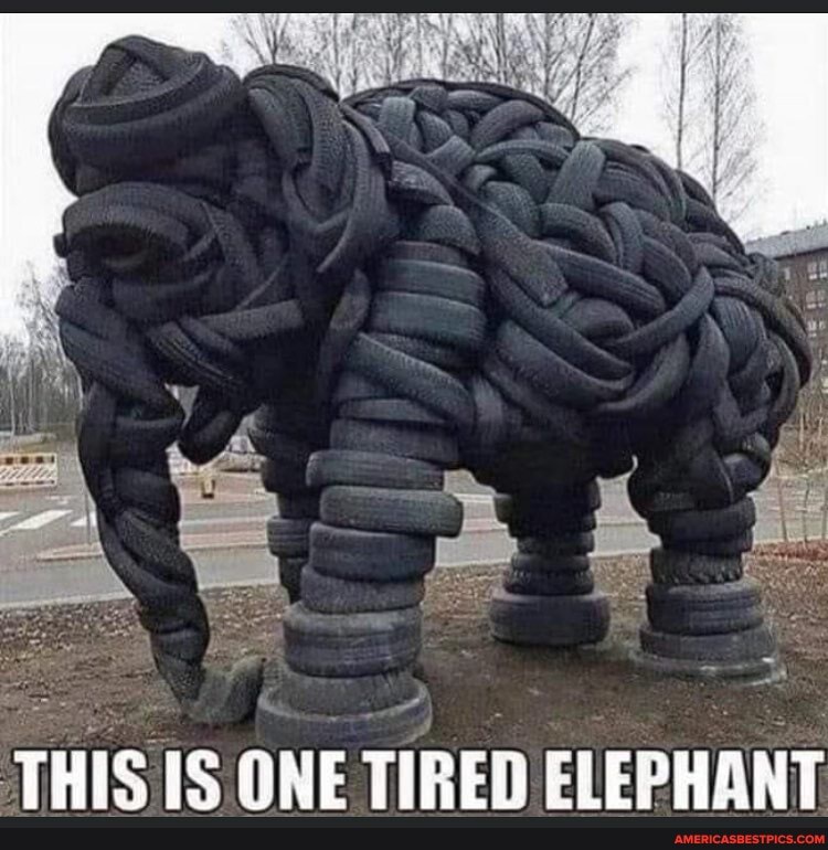 THIS IS ONE TIRED ELEPHANT