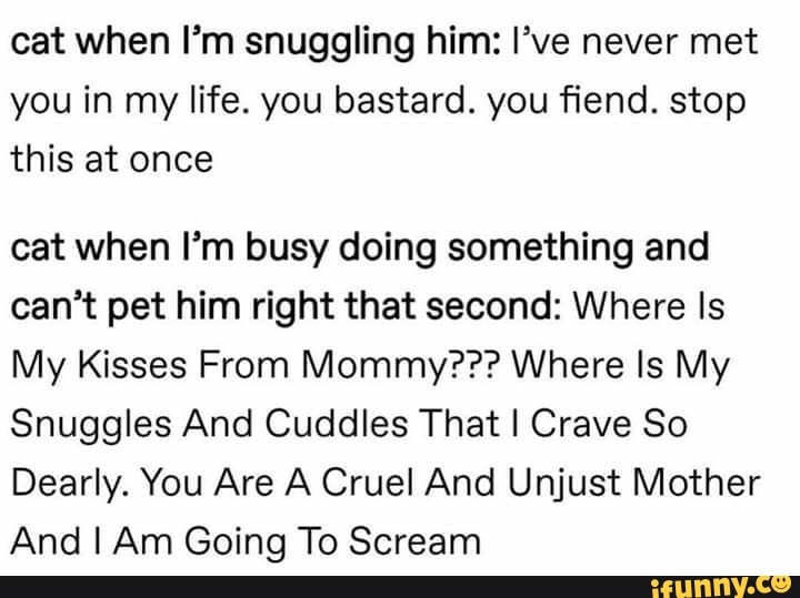 Cat When I M Snuggling Him I Ve Never Met You In My Life You Bastard You ﬁend Stop This At Once Cat When I M Busy Doing Something And Can T Pet Him Right That