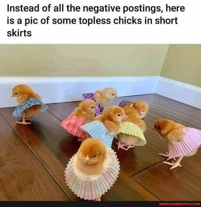 Instead of all the negative postings, here is a pic of some topless chicks in short skirts