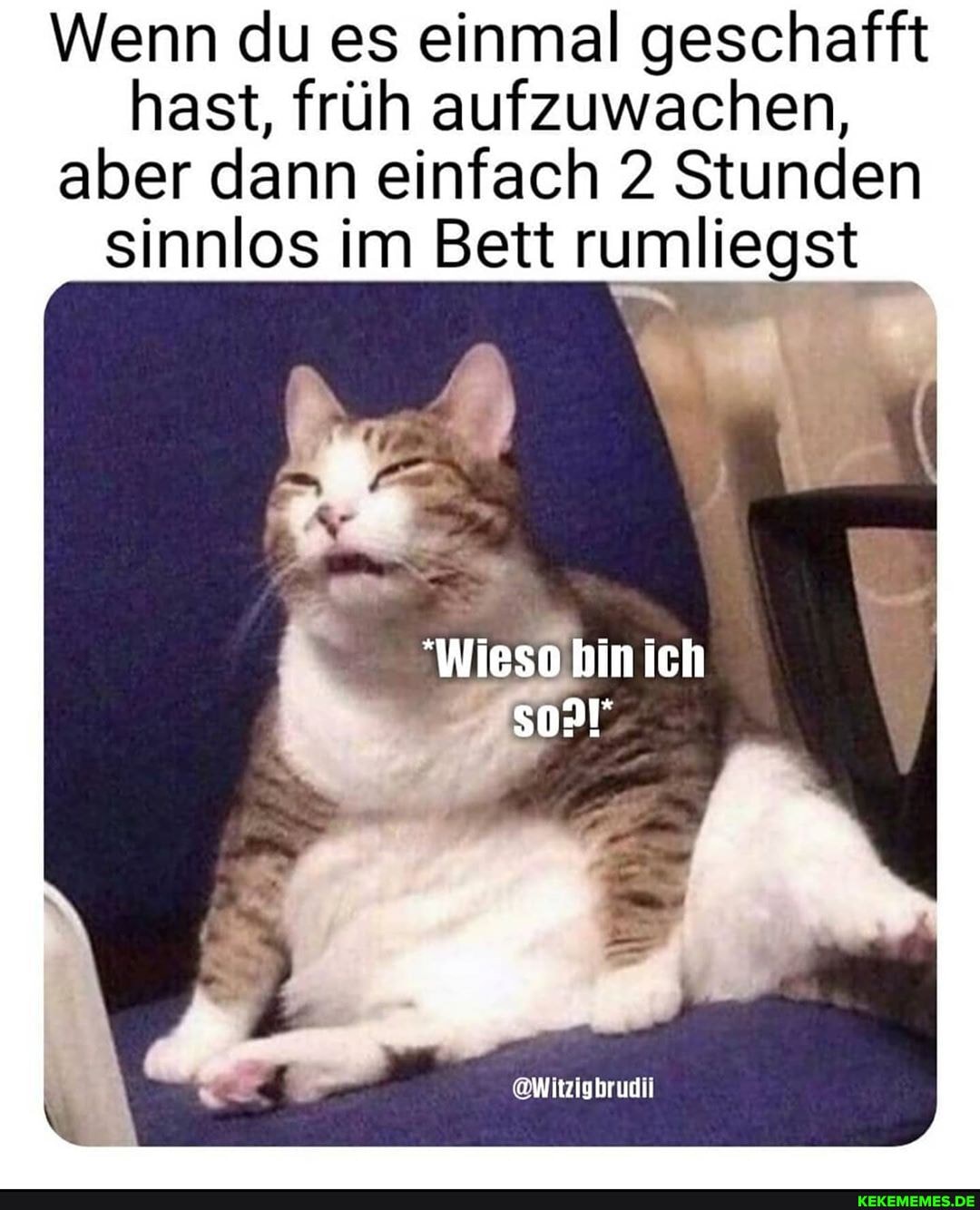 Wenn du es einmal geschafft hast, früh aufzuwachen, aber dann einfach 2 Stunden sinnlos im Bett rumliegst
"Wieso bin ich
so!",
@Wirzigbrudi
