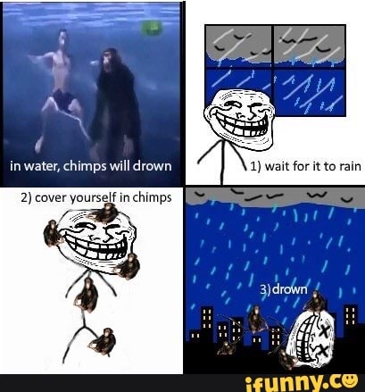 In Water Chimps Will Drown 1 Wait For It To Rain Ifunny