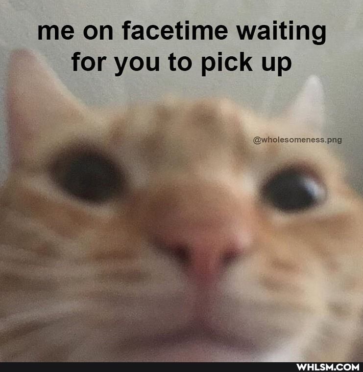 me on facetime waiting for you to pick up