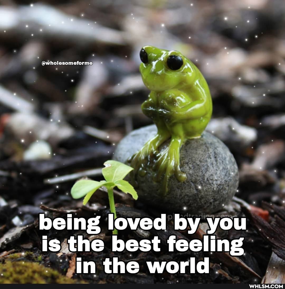 awholesomeforme
being loved by you
fs the best feeling
in the world.