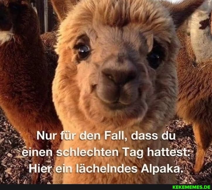 Nur den Fall, dass
\schlechten Tag hatt" n lächelndes Al
