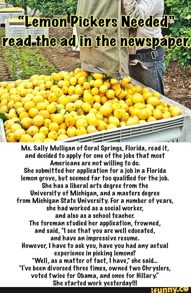 Applieaon memes. Best Collection of funny Applieaon pictures on iFunny