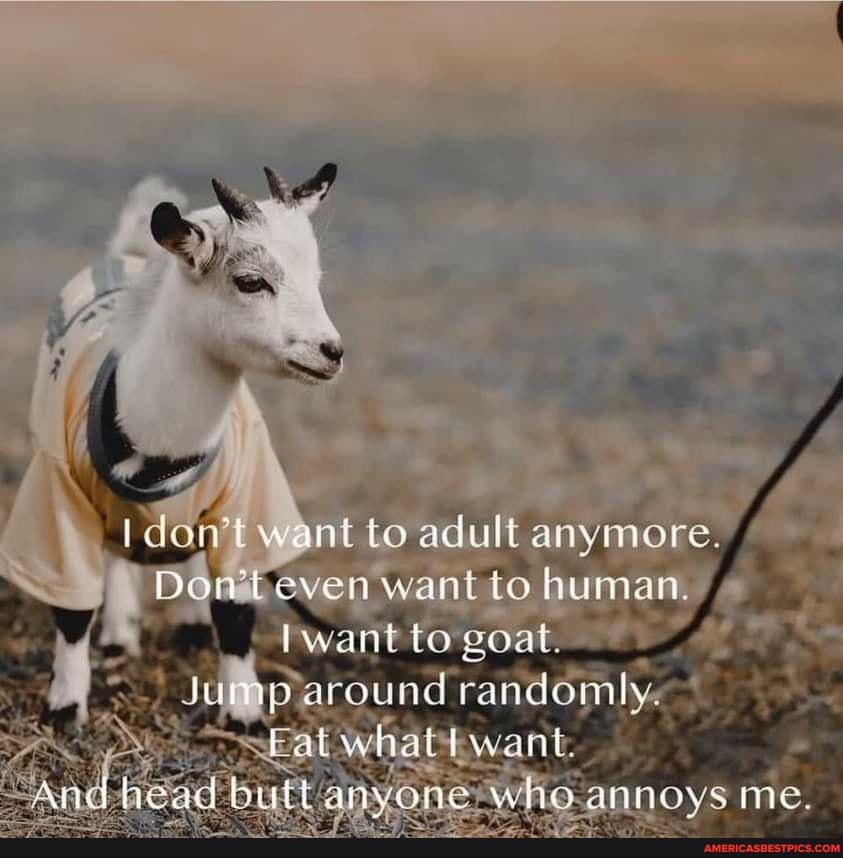 dan't want to adult anymore.
Dorteven want to human.
Iwant to
parqund randomly.
annoys me.