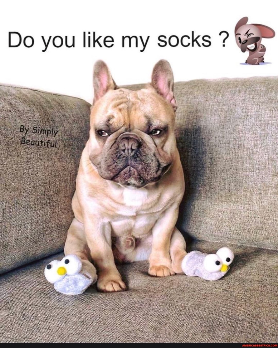 Do you like my socks ?
fy