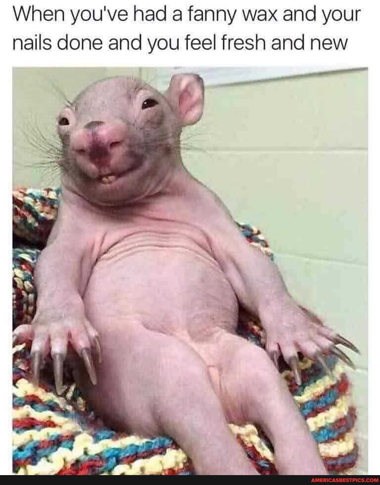 When you've had a fanny wax and your nails done and you feel fresh and new
"SS