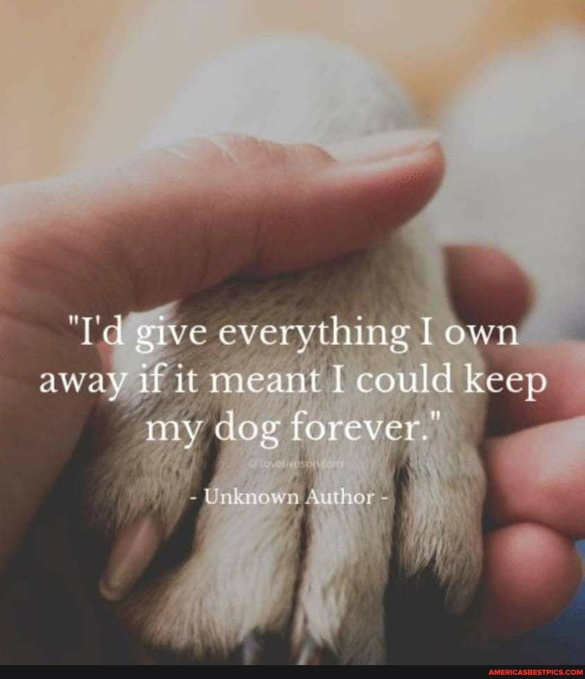 "T'd give everything I own away if it meant I could keep my dog forever."
thar +