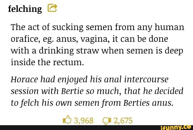 The act of sucking semen from any human
orafice, eg. anus, vagina, it can be done
with a drinking straw when semen is deep
inside the rectum.
Horace had enjoyed his anal intercourse
session with Bertie so much, that he decided
to felch his own semen from Berties anus.