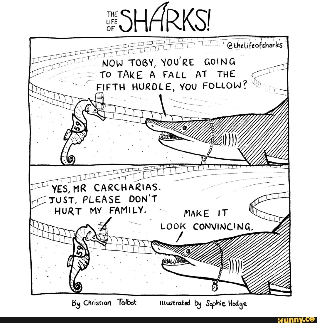 SHARKS
@thelifeofsharks~
NOW TOBY, YOU'RE GOING
= To TAKE A FALL AT THE
FIFTH HURDLE, You FOLLOW?
YES MR CARCHARIAS.
TUST, PLEASE DON'T
-HURT MY FAMILY.
By Christian Talbot IWustrated by Sgphie Hodge