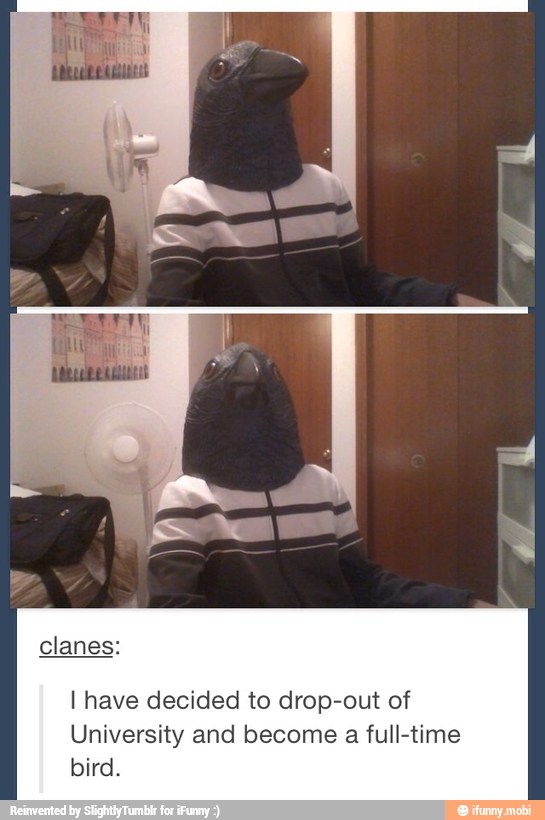 I have decided to drop-out of
University and become a full-time
bird.