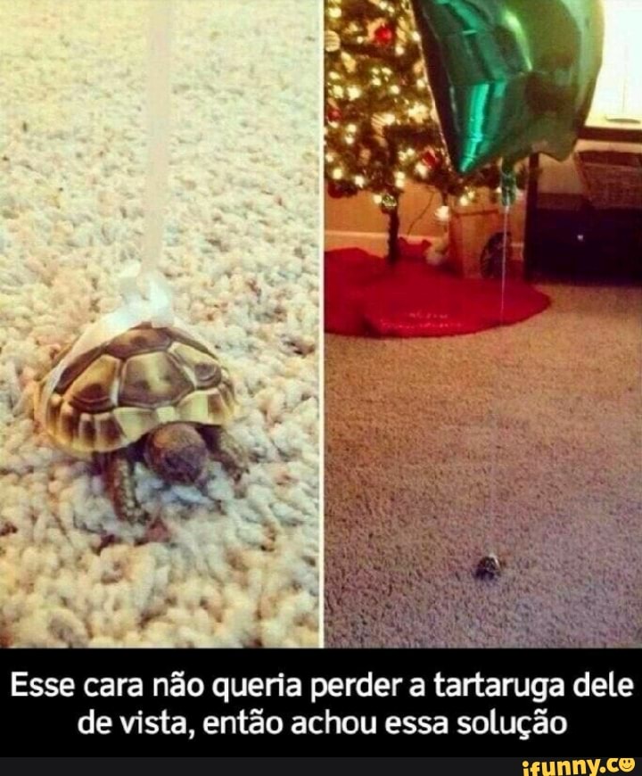 A
Esse cara não queria perder a tartaruga dele
de vista, então achou essa solução