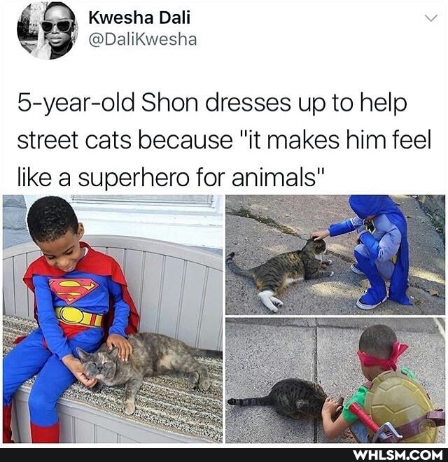 Kwesha Dali
@Dalikwesha
5-year-old Shon dresses up to help
street cats because "it makes him feel like a superhero for animals"