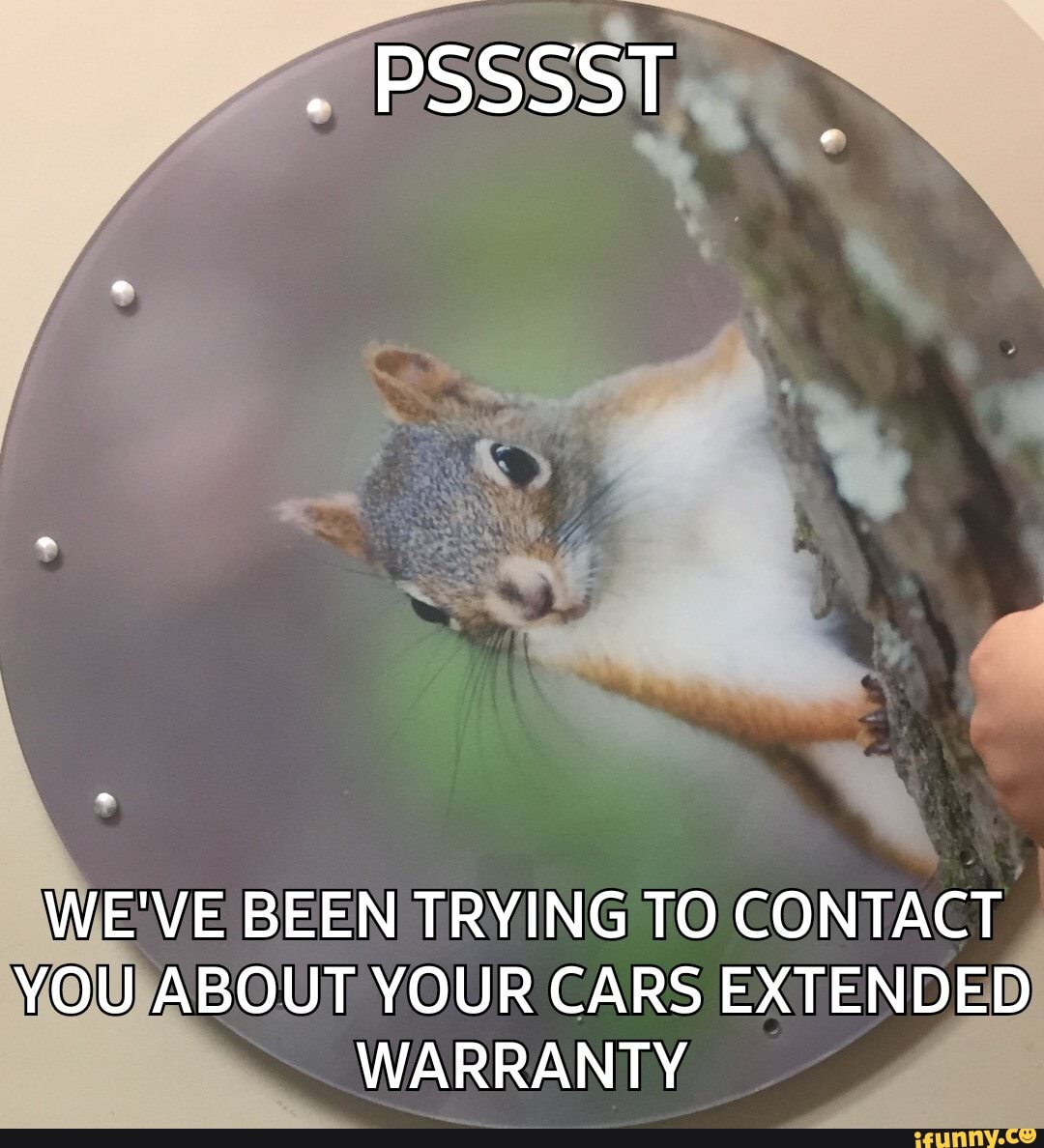 . PSSSST WE'VE BEEN TRYING TO CONTACT YOU ABOUT YOUR CARS ...