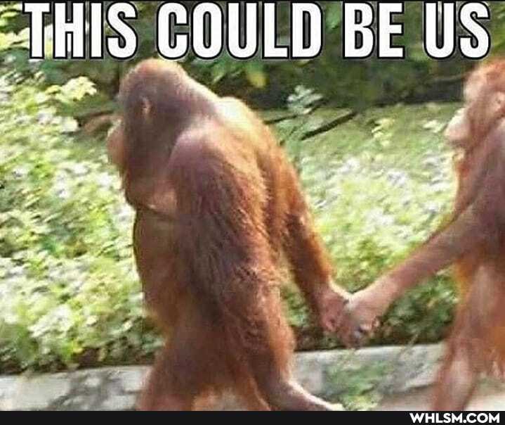 "THIS GOULD BE US