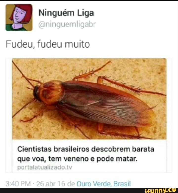 a Ninguém Liga
s
Fudeu, fudeu muito
Cientistas brasileiros descobrem barata
que voa, tem veneno e pode matar.