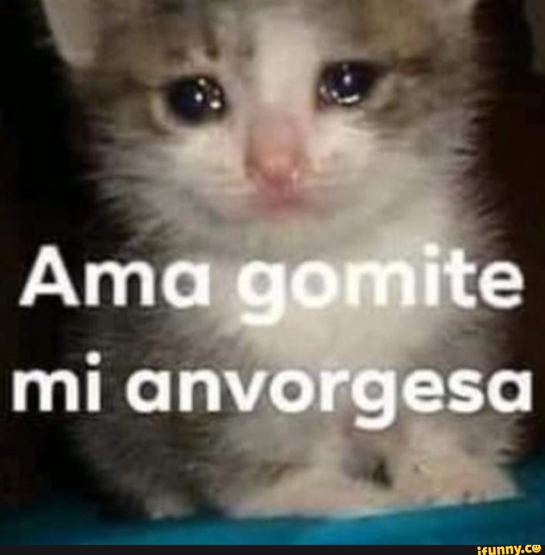 Ama gomite mi anvorgesa - iFunny