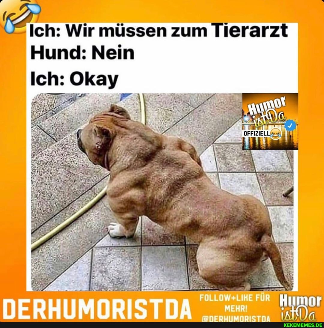 Ich: Wir müssen zum Tierarzt
Hund: Nein
Ich: Okay
NERHIIMNRISTN
FÜR
Humor