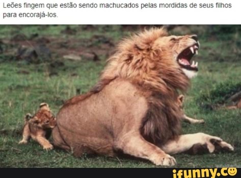 LoBes fingem que esto sendo machucados pelas mordidas de teus filho