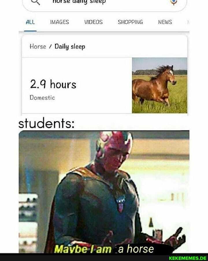 ALL INA VIDEOS SHOO ING NEWS
Horse Daily sleep
2.9 hours
Domestic
students: