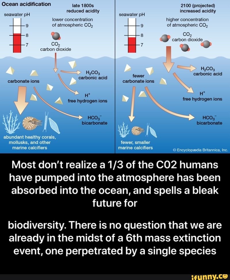 Carbonic Acid Ocean