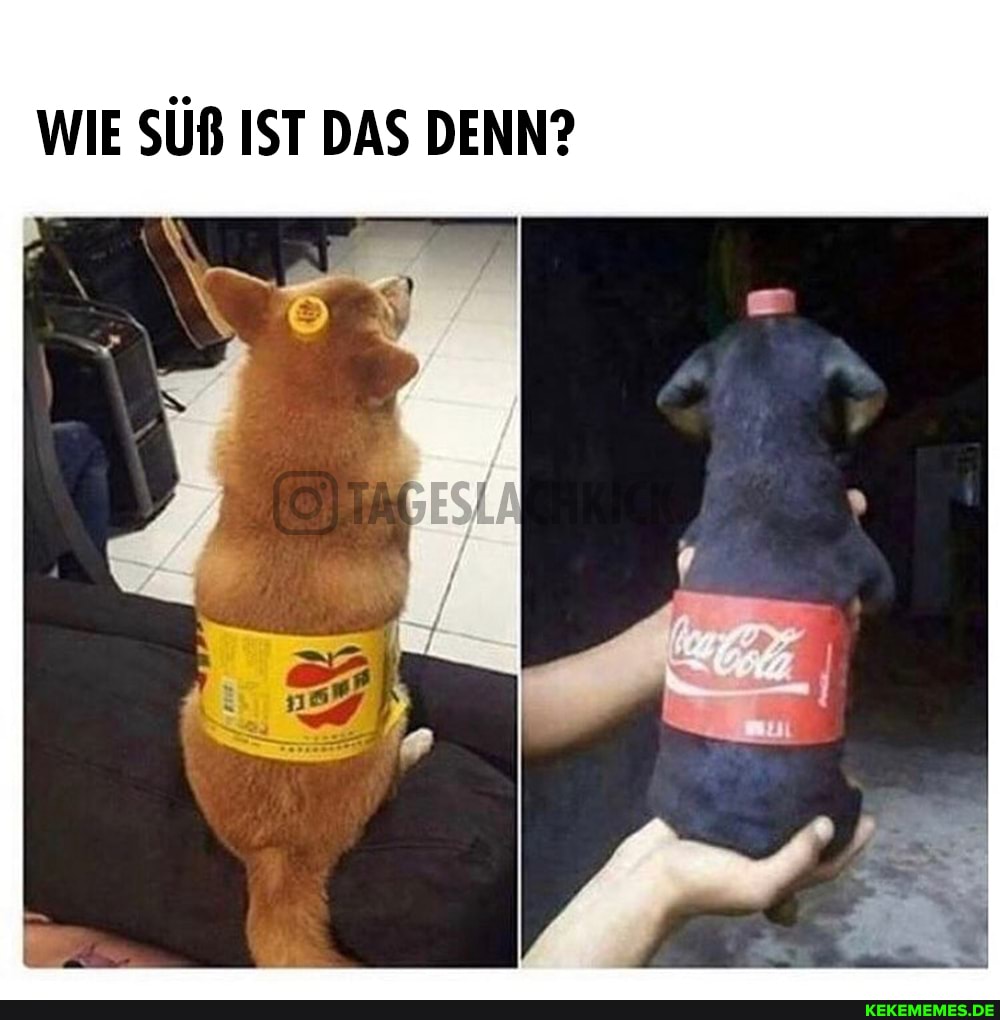 WIE SÜß IST DAS DENN?