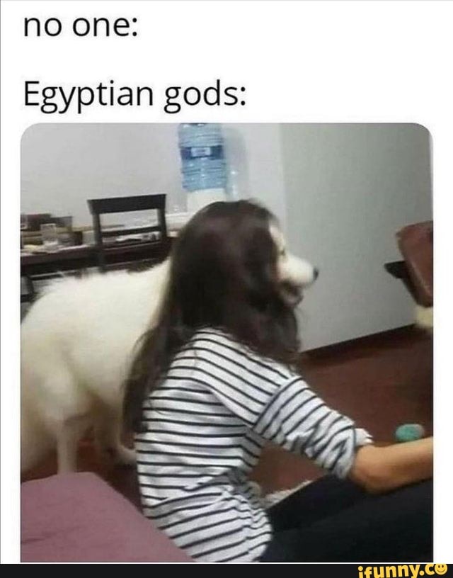 no one:
Egyptian gods: