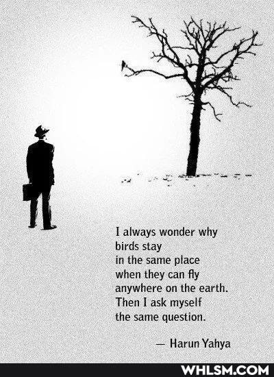 Lalways wonder why birds stay
in the same place when they can fly anywhere on the earth.
Then I ask myself
the same question.
Harun Yahya