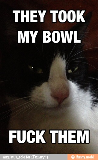 THEY TOOK
MY BOWL
FUCK
THEM