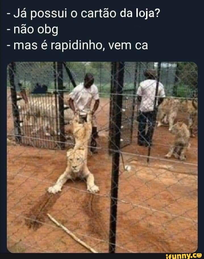 Já possui o cartão da loja?
não obg
mas é rapidinho, vem ca