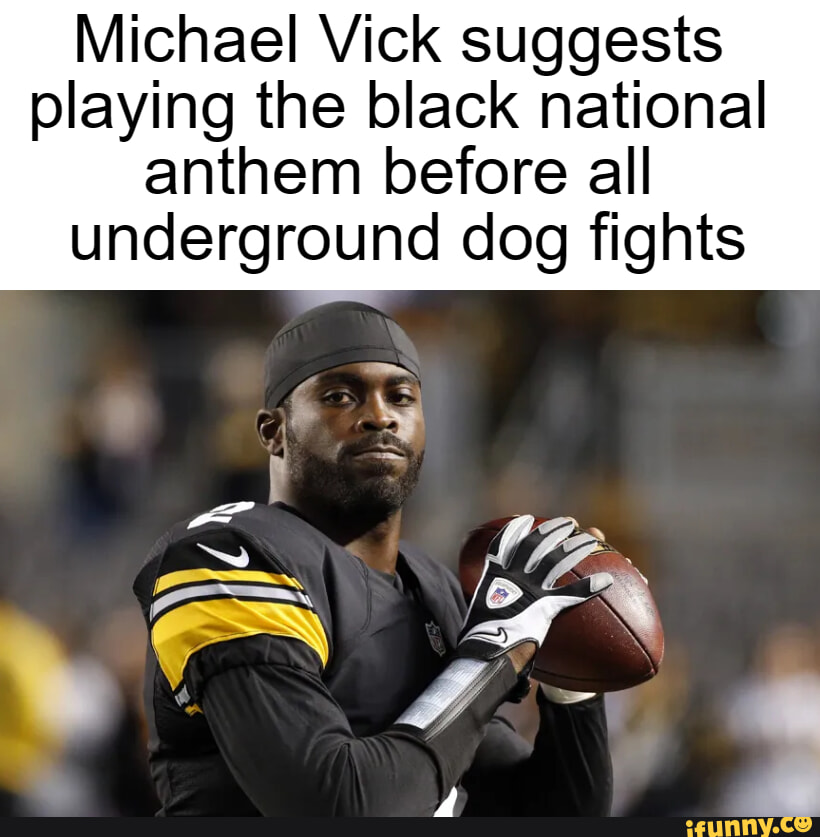 Michael Vick suggests playing the black national anthem before all ...