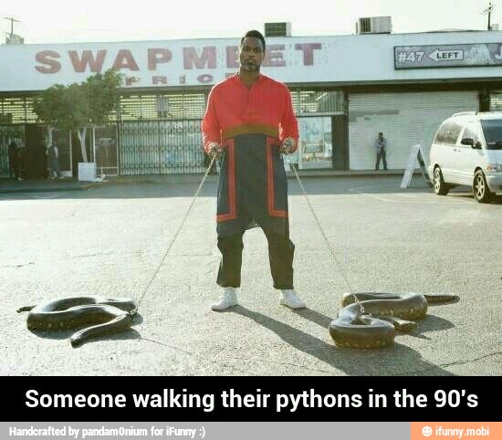 Someone walking their pythons in the 90's - Someone walking their pythons in the 90's