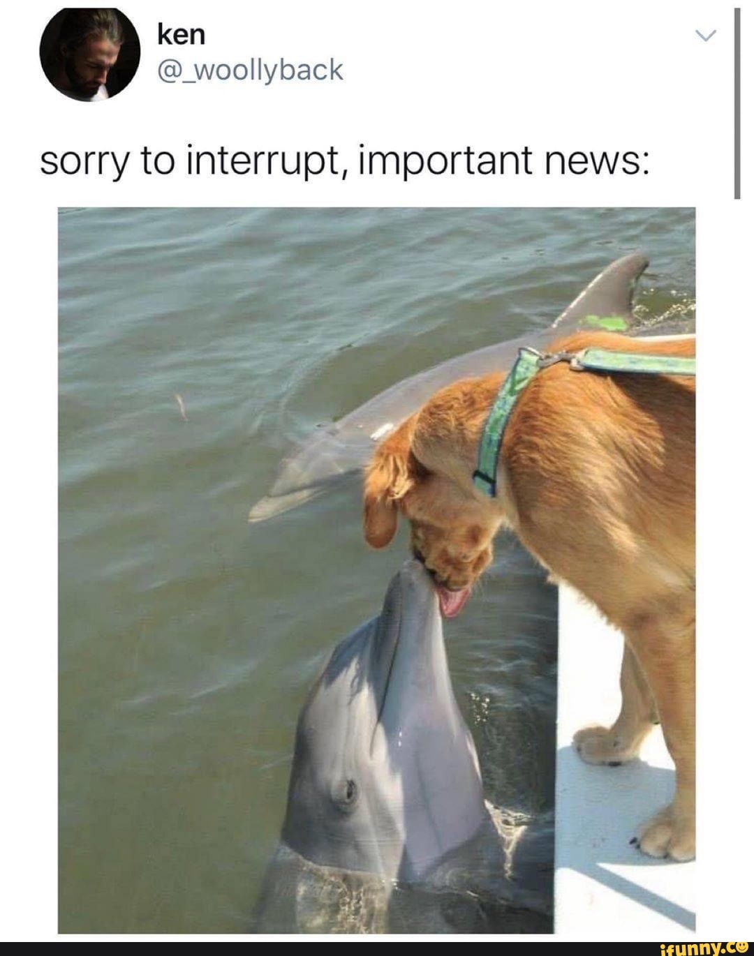 sorry to interrupt, important news: