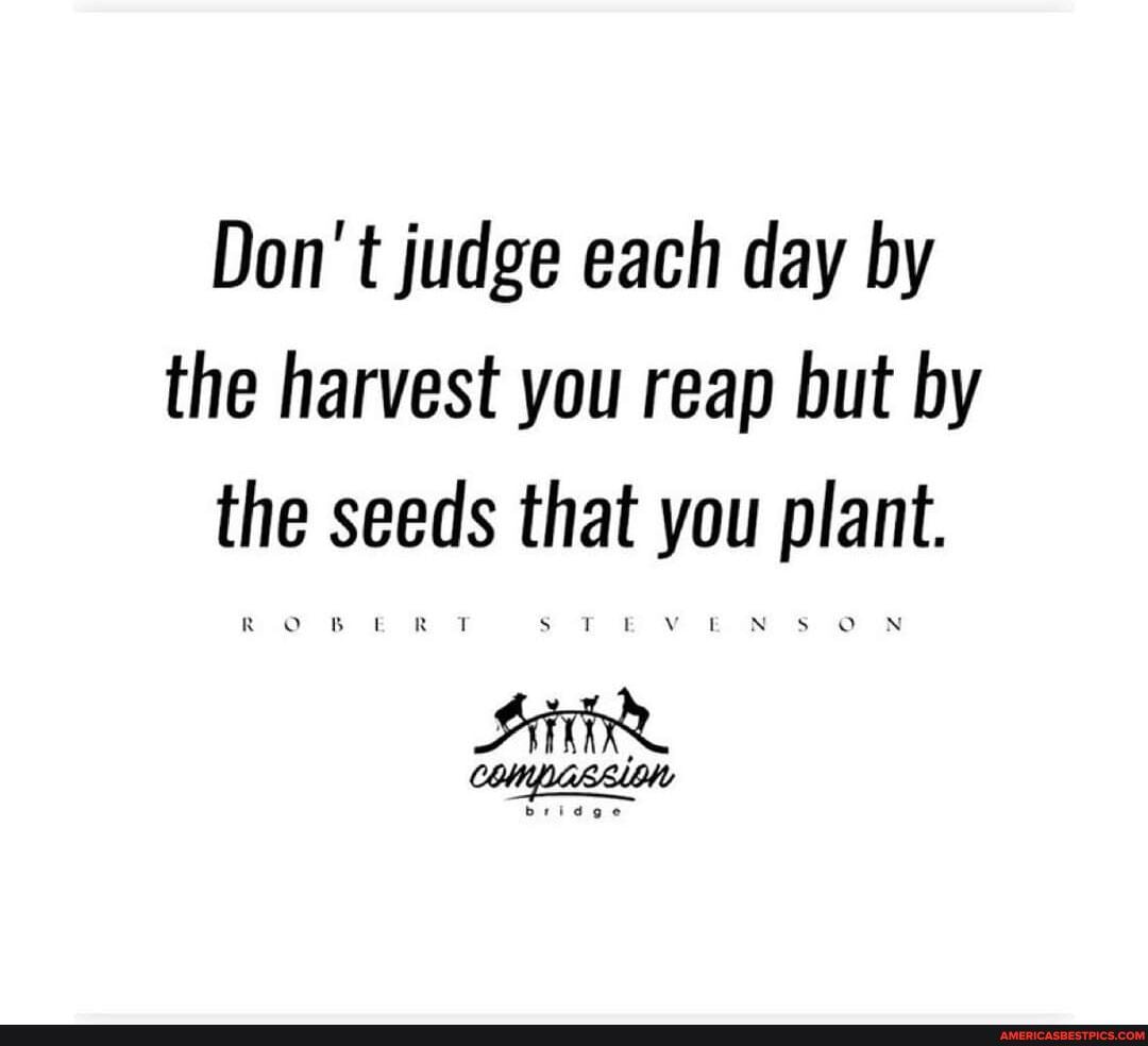 Don't judge each day by the harvest you reap but by the seeds that you plant.
LR FEV EN ON
bridge