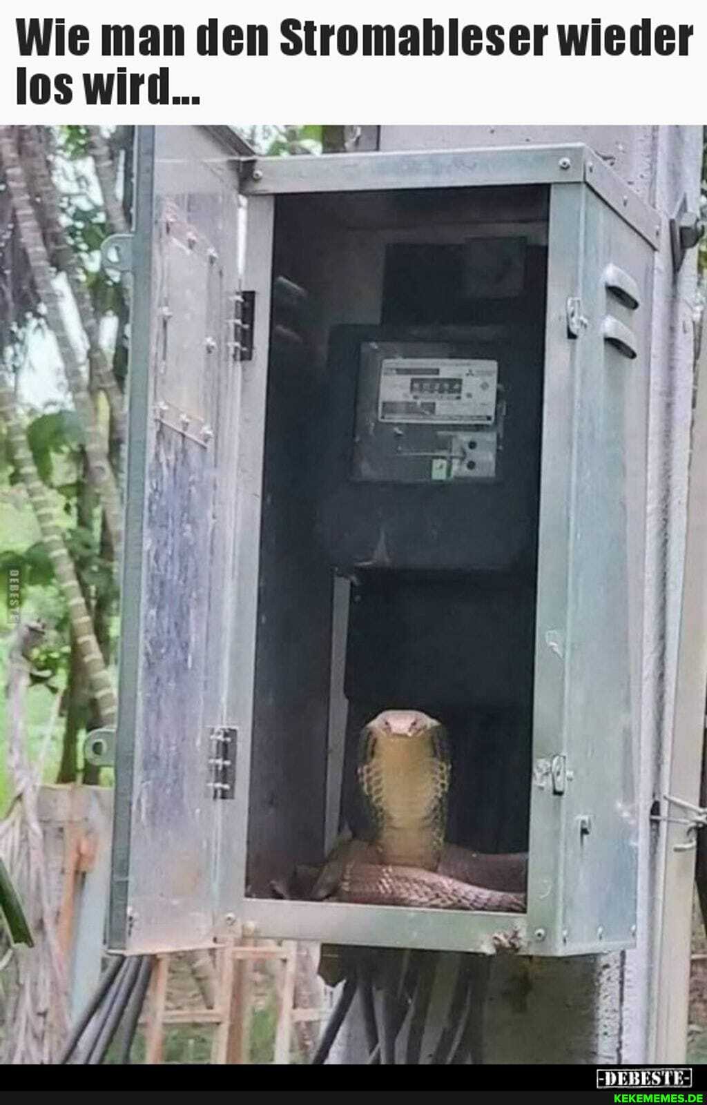 Wie man den Stromableser wieder los wird...
