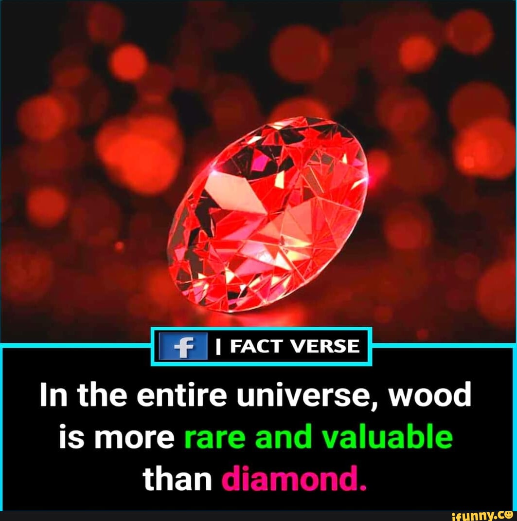 Tommy jeff was right. The constitution should be rewritten every 20