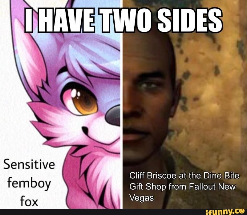 TWO SIDES Sensitive Cliff Briscoe at the Dino Bite fem boy Gift Shop