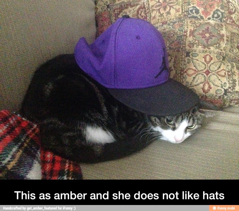 This as amber and she does not like hats - This as amber and she does not like hats