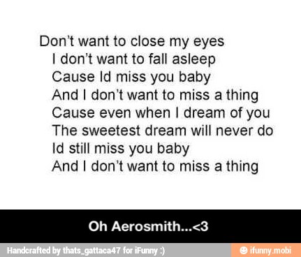 Don't want to close my eyes
I don't want to fall asleep
Cause Id miss you baby
And I don't want to miss a thing
Cause even when I dream of you
The sweetest dream will never do
Id still miss you baby
And I don't want to miss a thing - Oh Aerosmith...<3