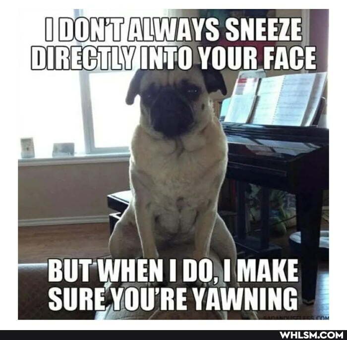 SNEEZE TO YOUR FACE
~ BUT WHENI DO, 1 MAKE SURE YOU'RE YAWNING