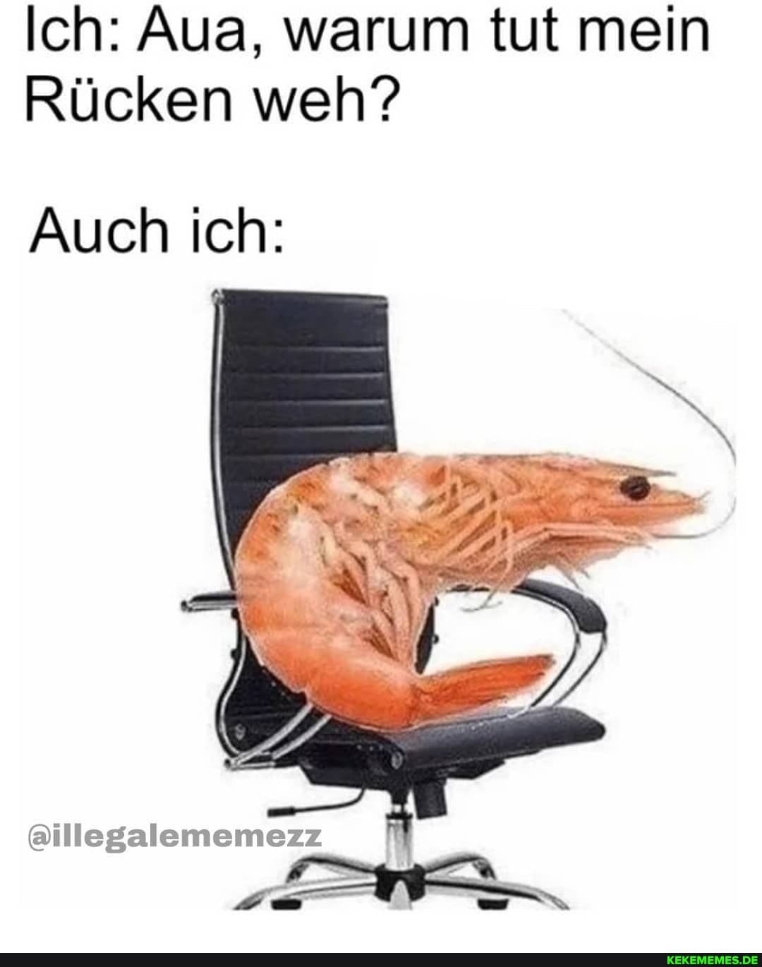 Ich: Aua, warum tut mein
Rücken weh?
Auch ich:
@illegalememezz