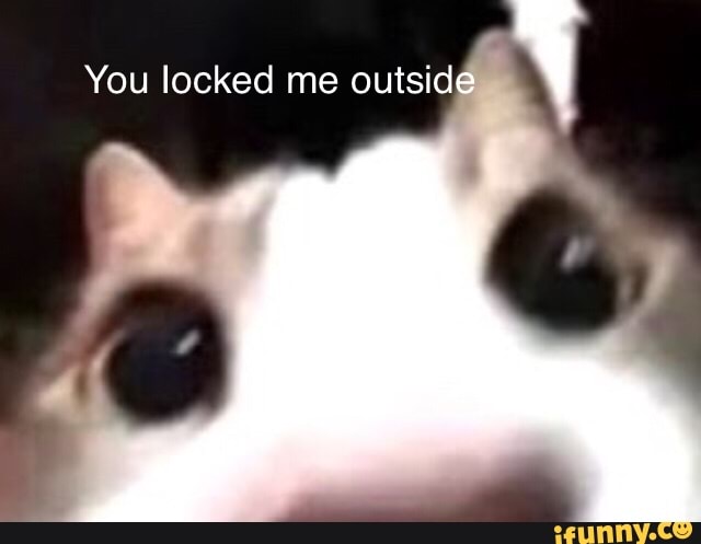 You locked me outside