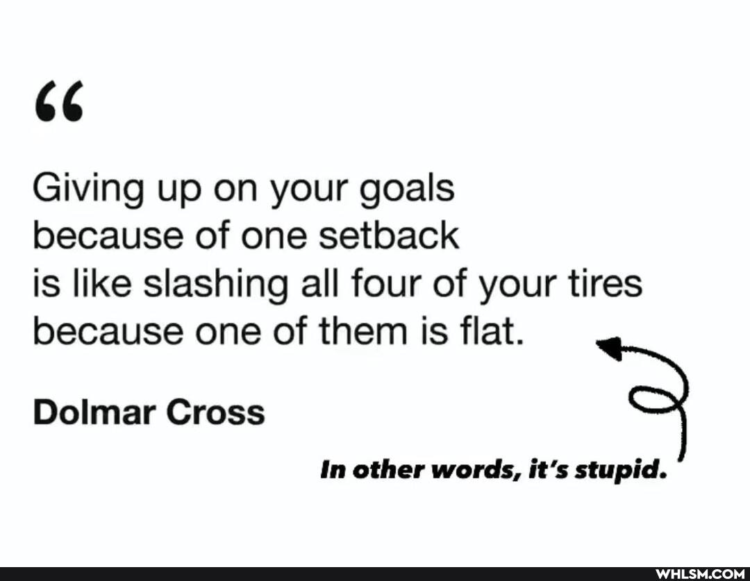 66
Giving up on your goals
because of one setback
is like slashing all four of your tires because one of them is flat.
Dolmar Cross
In other words, it's stupid.