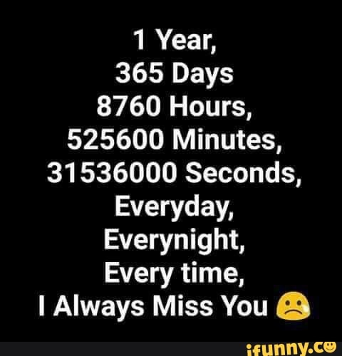 1 Year 365 Days 8760 Hours Minutes Seconds Everyday Everynight Every Time I Always Miss You A Ifunny